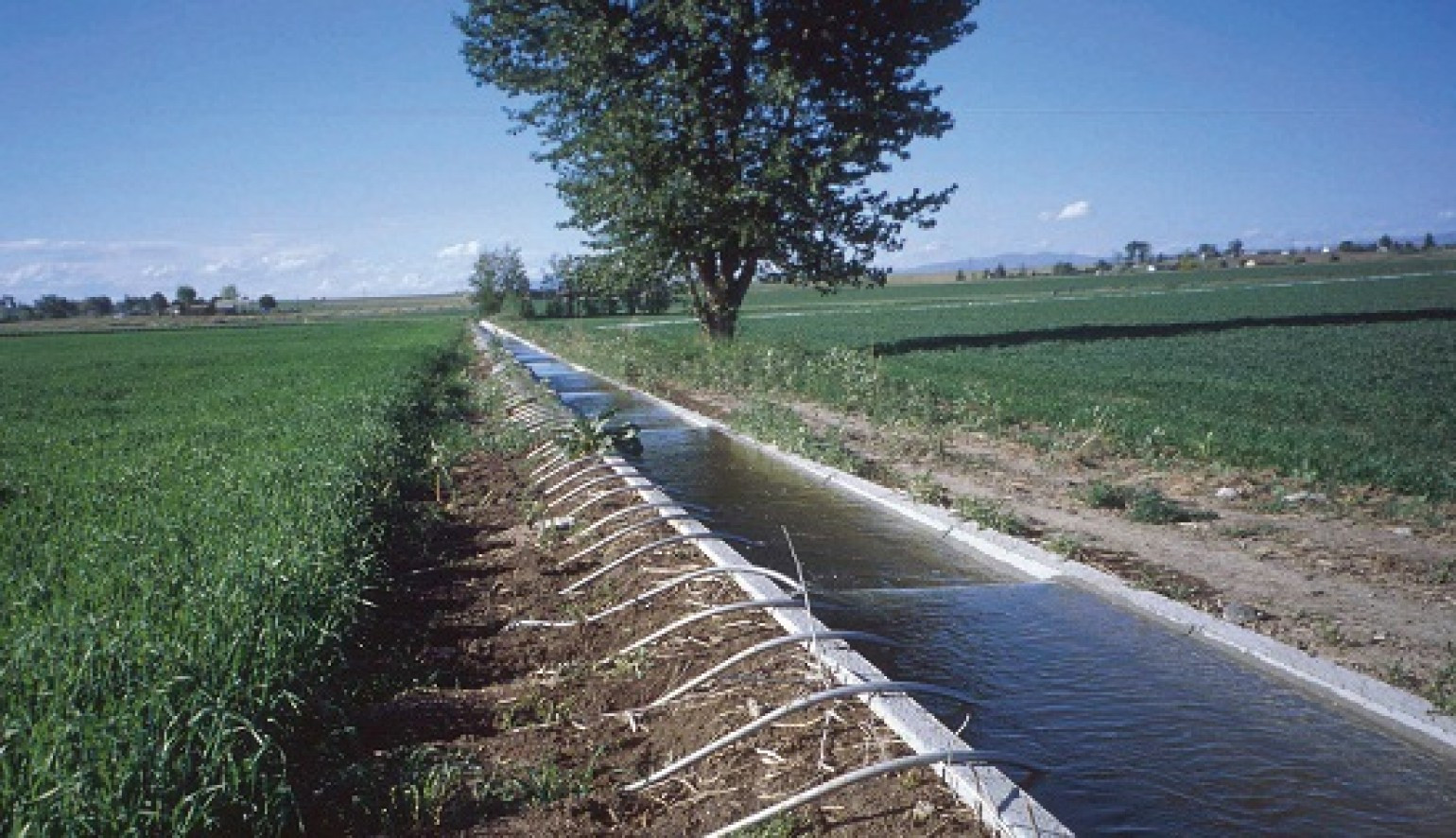 TRAPEZOİDAL CANAL, FLUME AND STREAM İMPROVEMENT WORKS